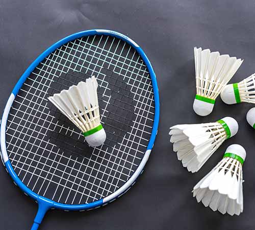 追我赶的状 追我赶的状