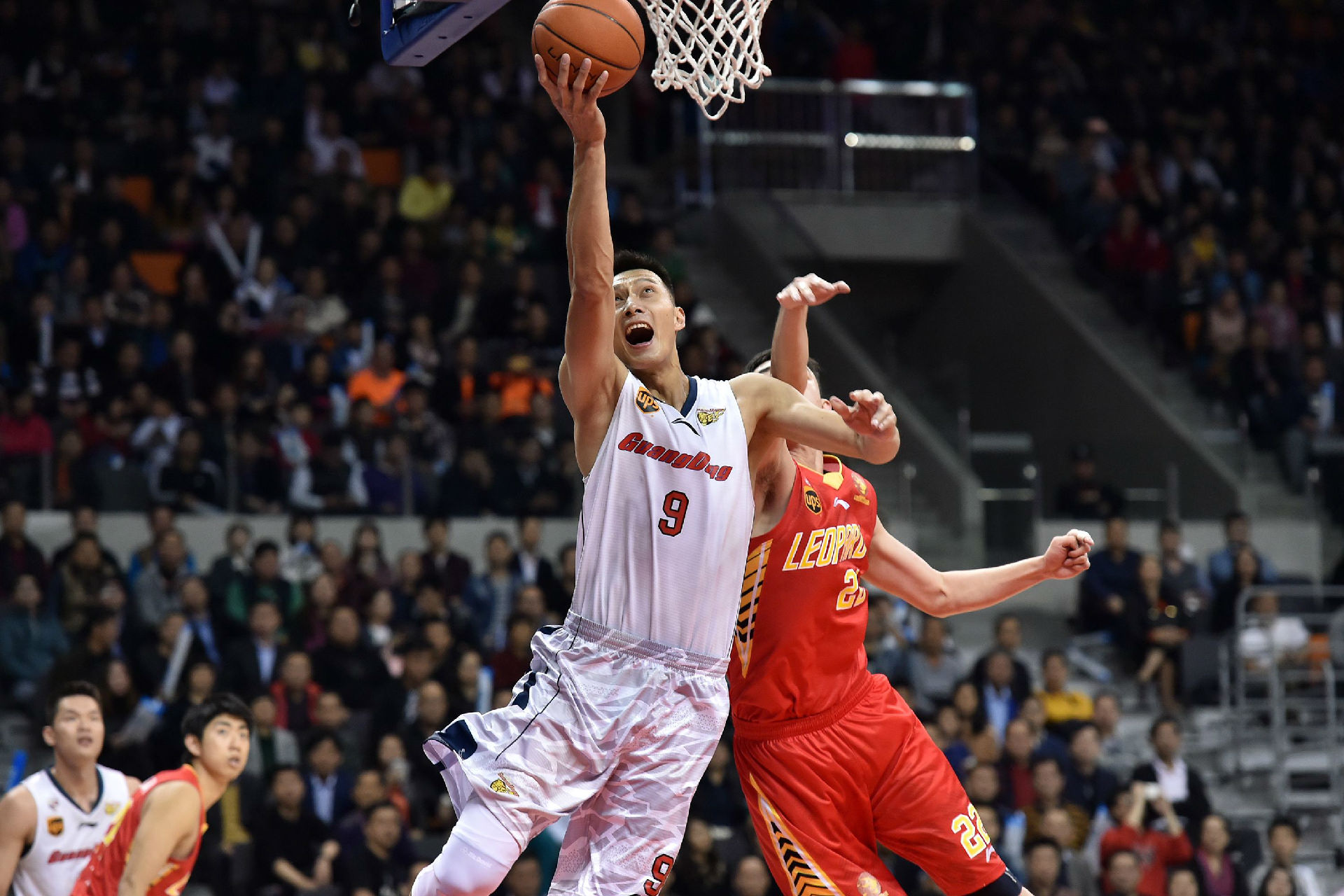 会以全新的 会以全新的